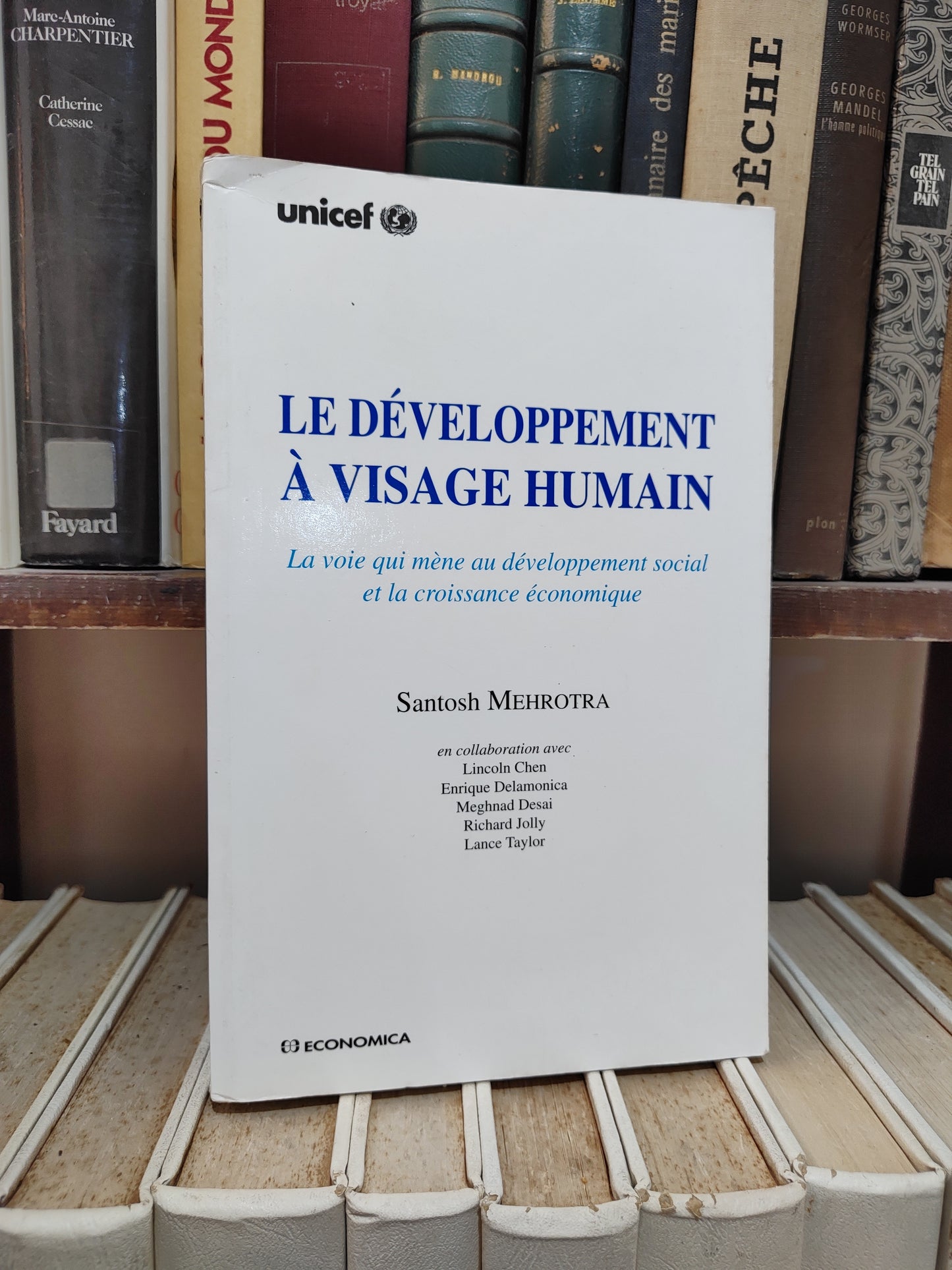 Mehrotra - Le développement à visage humain