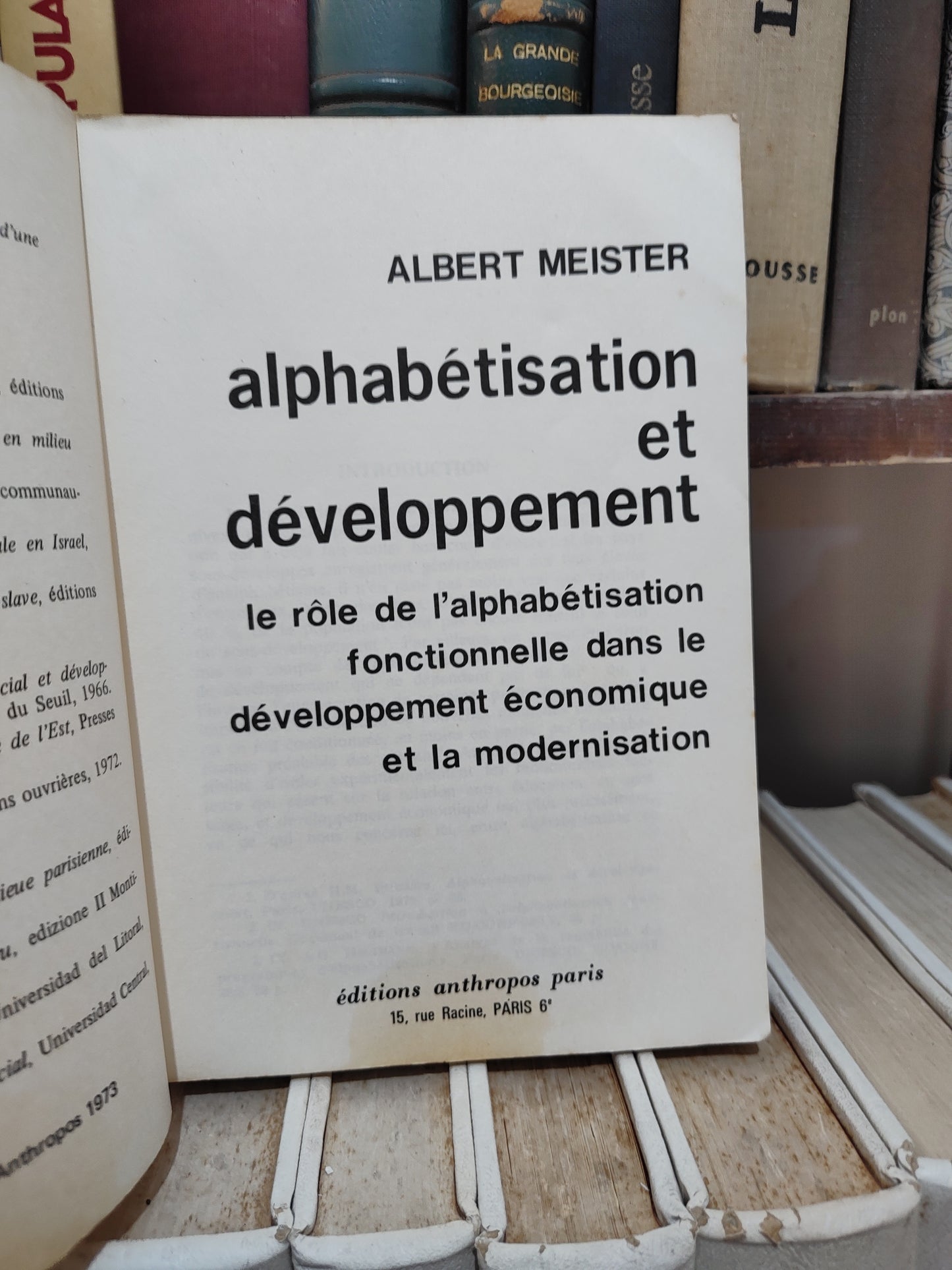 Meister - Alphabétisation et développement