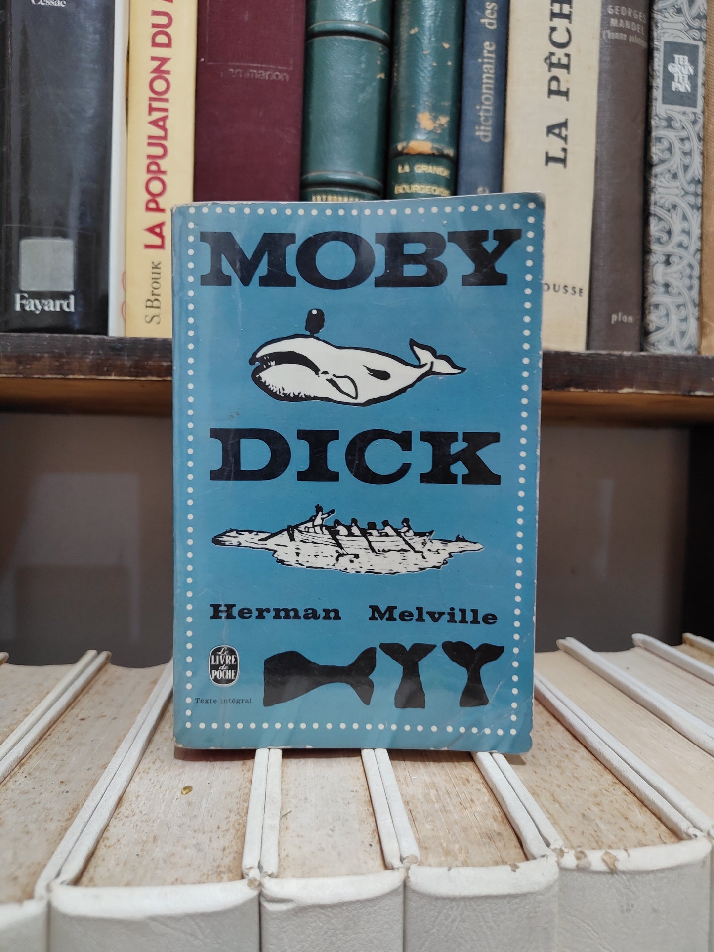 Melville - Moby Dick
