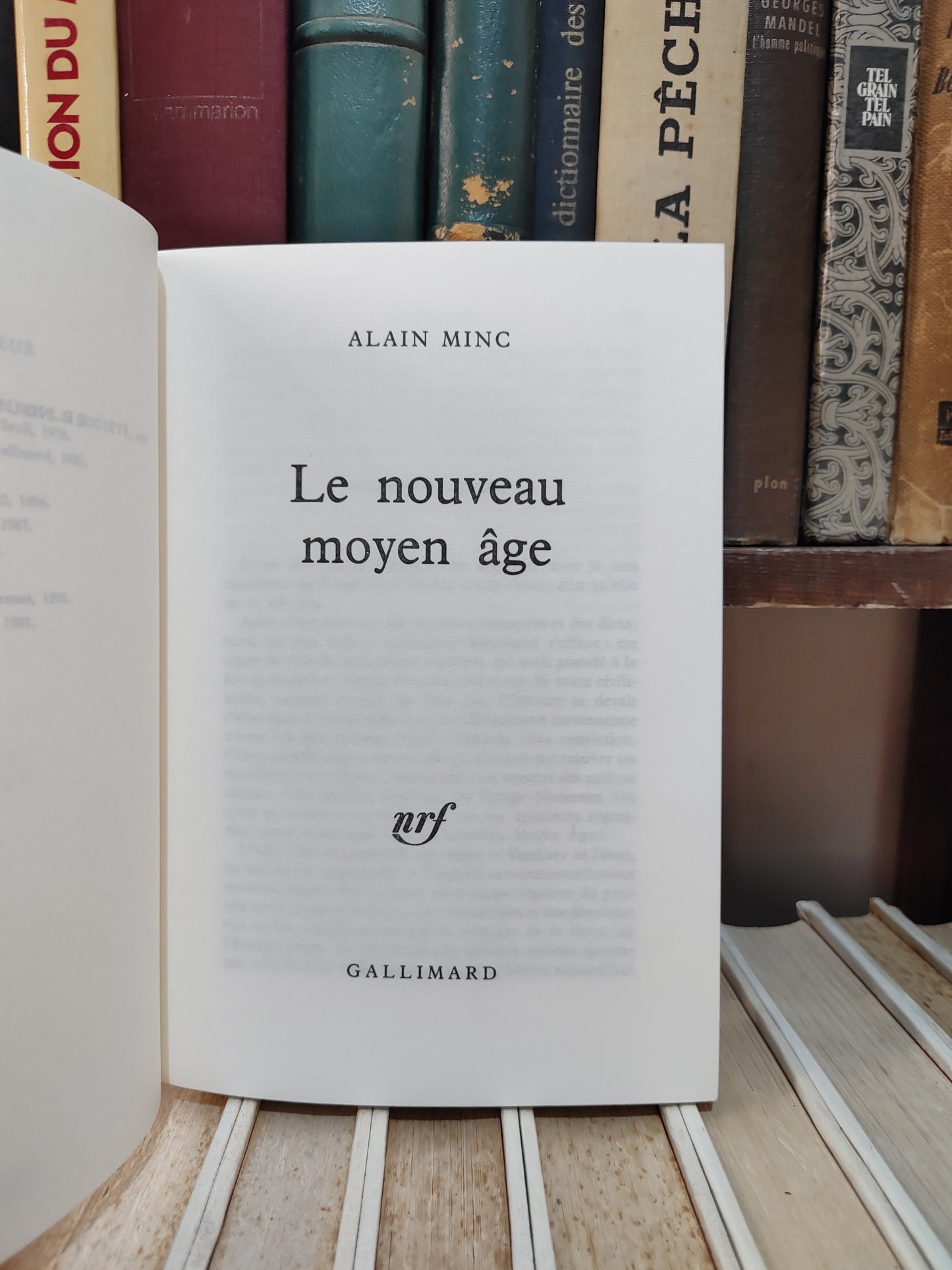 Minc - Le nouveau moyen âge
