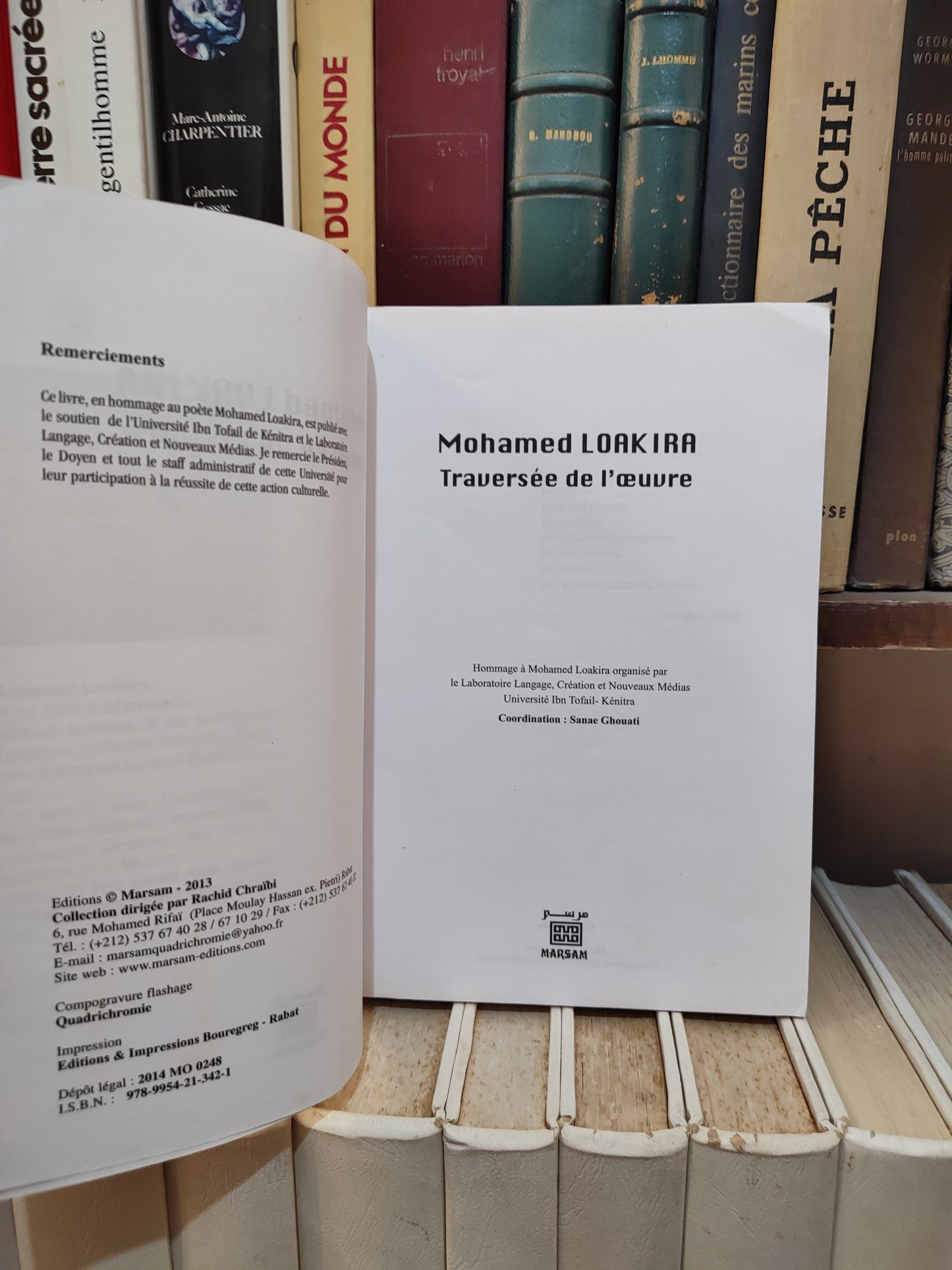 Mohamed Loakira Traversée de l'œuvre
