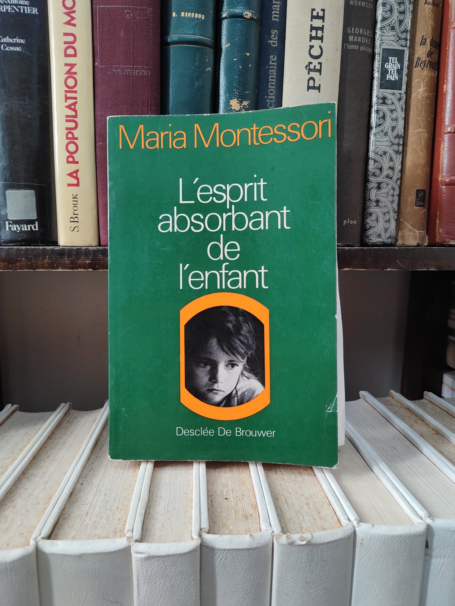 Montessori - L'esprit absorbant de l'enfant