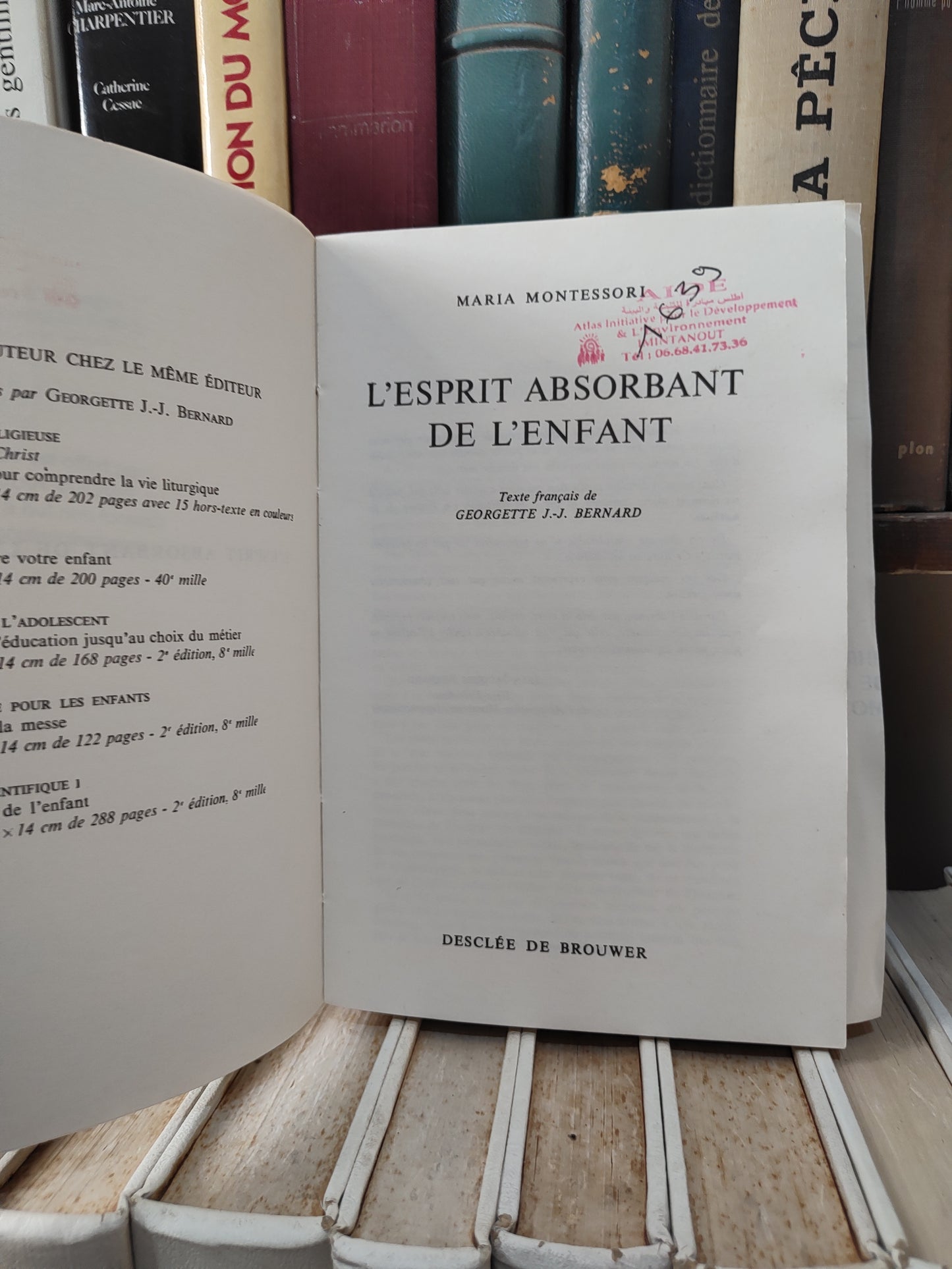 Montessori - L'esprit absorbant de l'enfant