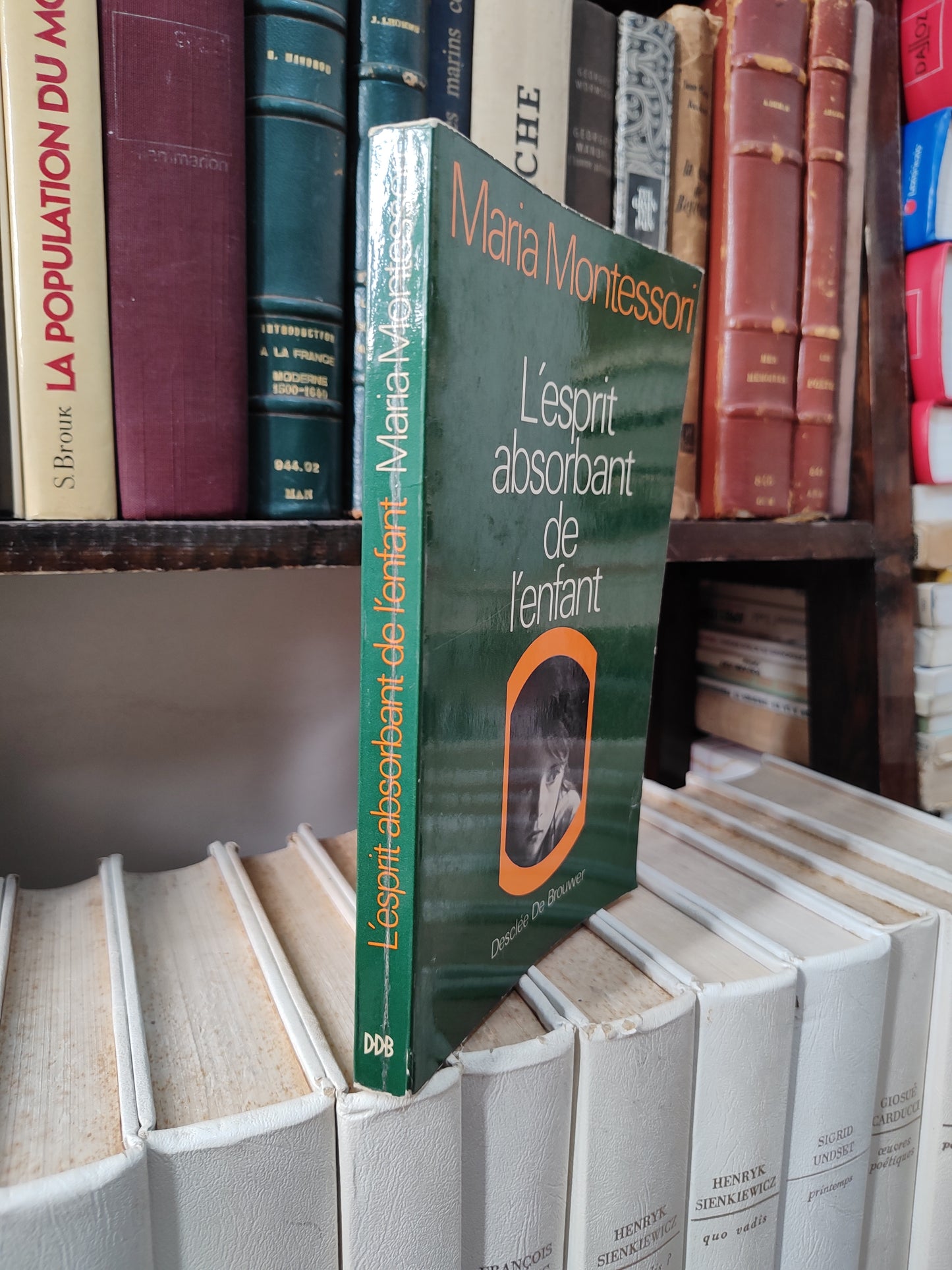 Montessori - L'esprit absorbant de l'enfant