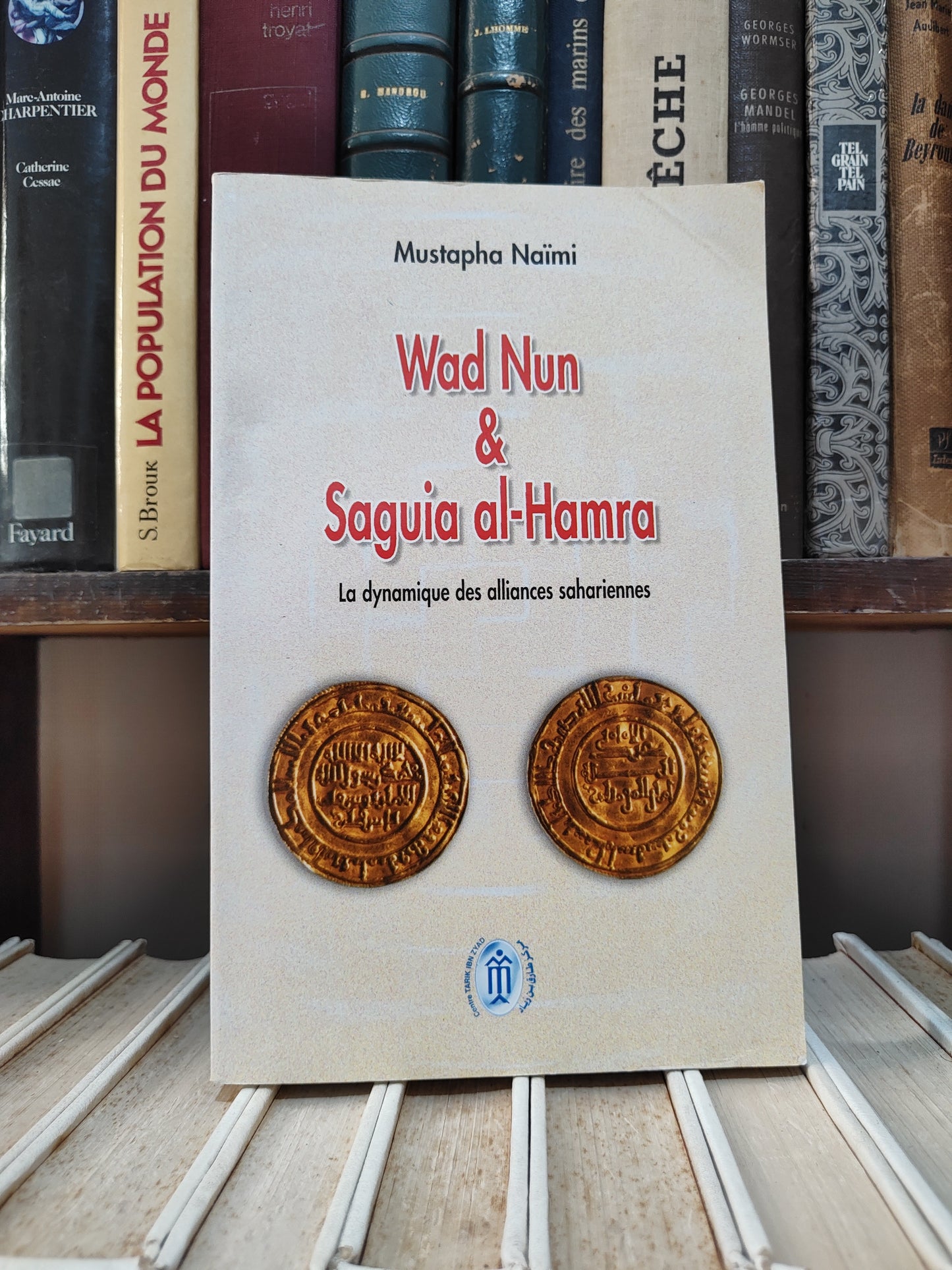 Naimi - Wad Nun et Saguia al-Hamra : La dynamique des alliances sahariennes