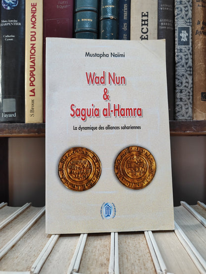 Naimi - Wad Nun et Saguia al-Hamra : La dynamique des alliances sahariennes