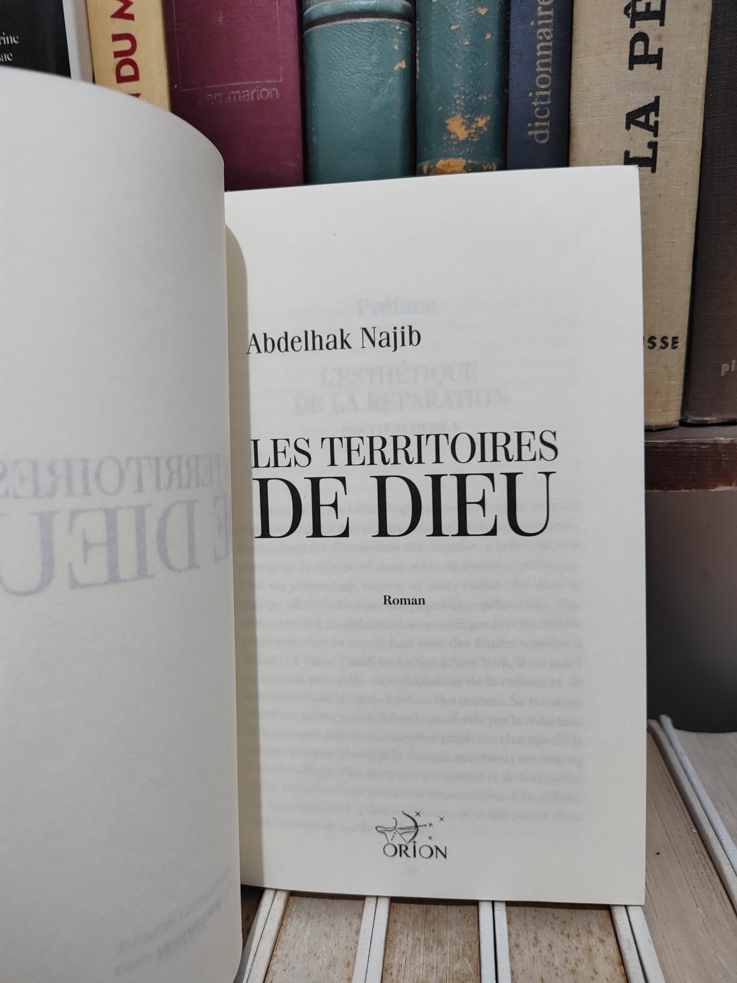 Najib -Les territoires de dieu
