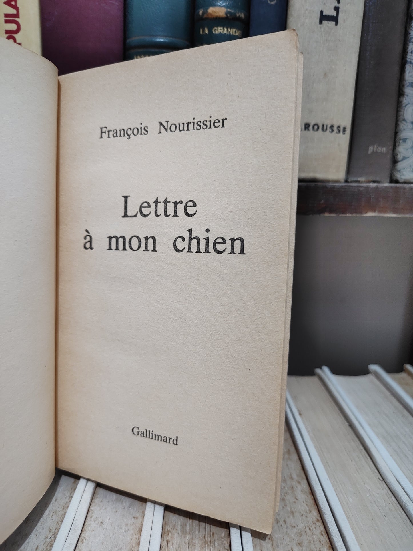 Nourissier - Lettre à mon chien