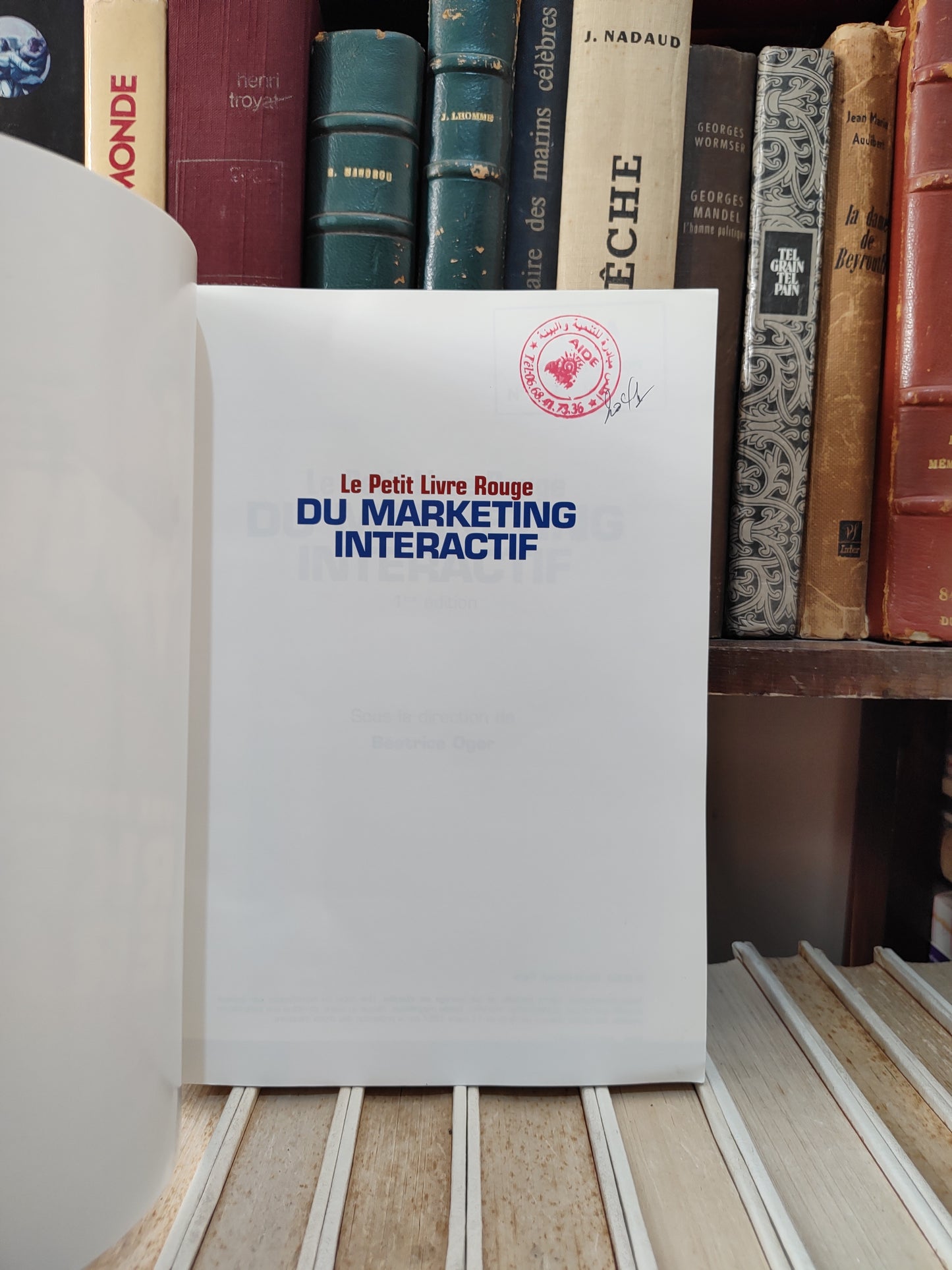 Oger - Le petit livre rouge du marketing interactif