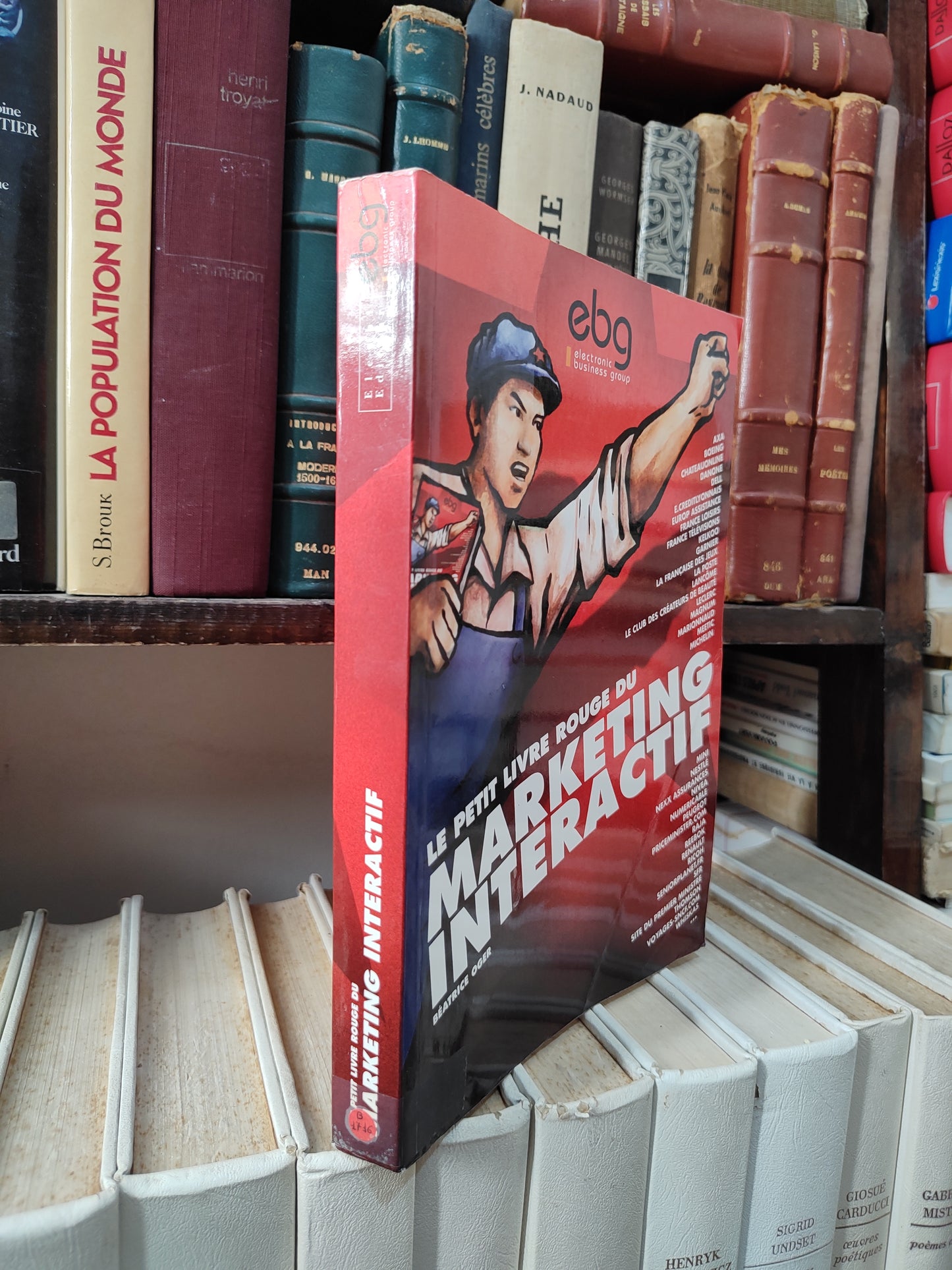 Oger - Le petit livre rouge du marketing interactif