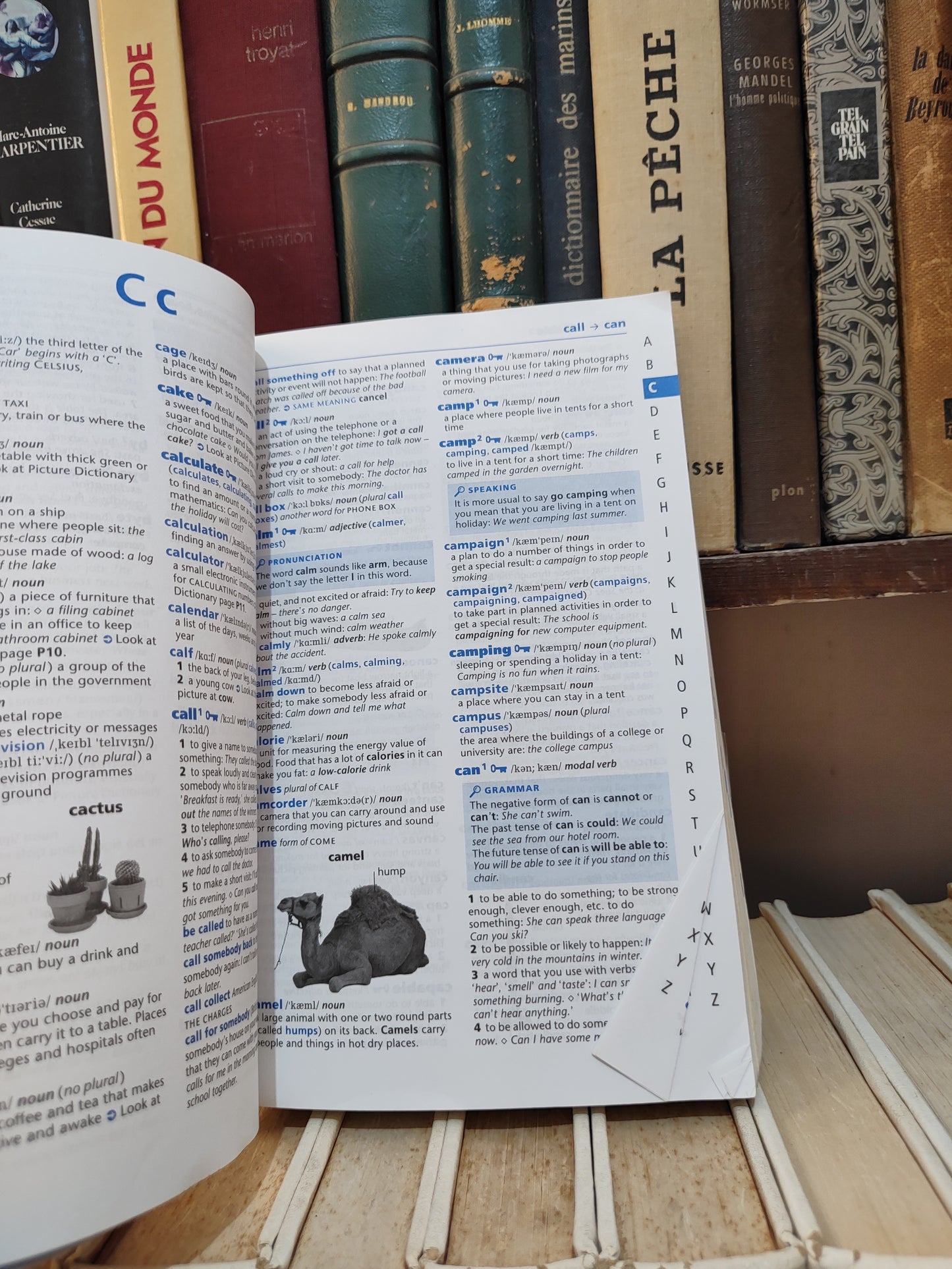 Oxford Essential Dictionary