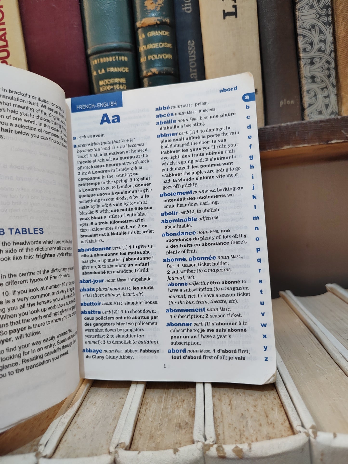 Oxford School Frensh Dictionary