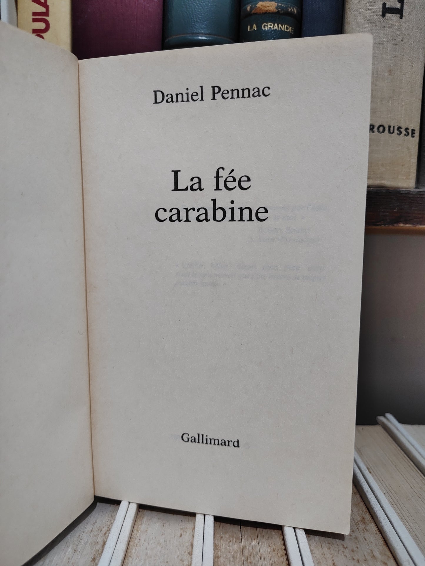 Pennac - La fée carabine