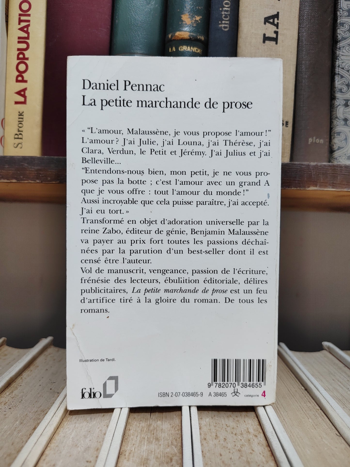 Pennac - La petite marchande de prose
