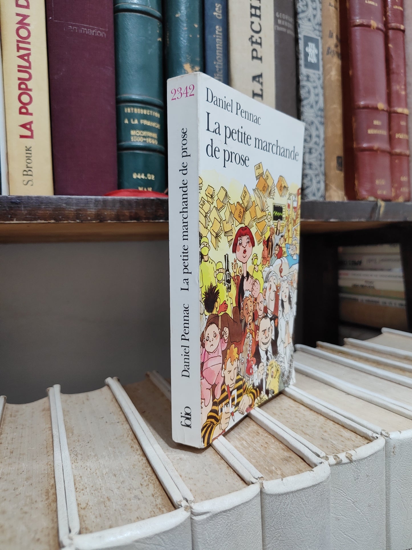 Pennac - La petite marchande de prose