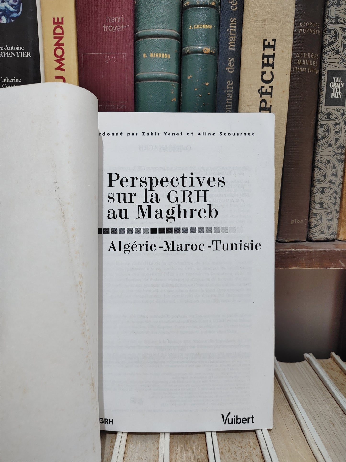 Perspectives sur le GRH au Maghreb : Algérie Maroc Tunisie