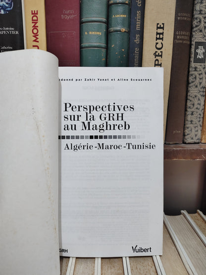 Perspectives sur le GRH au Maghreb : Algérie Maroc Tunisie