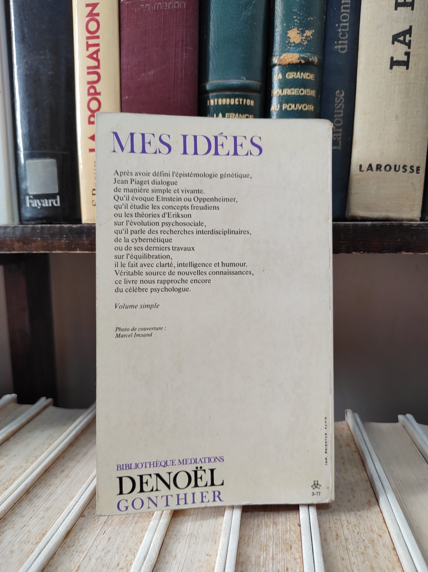 Piaget - Mes idées