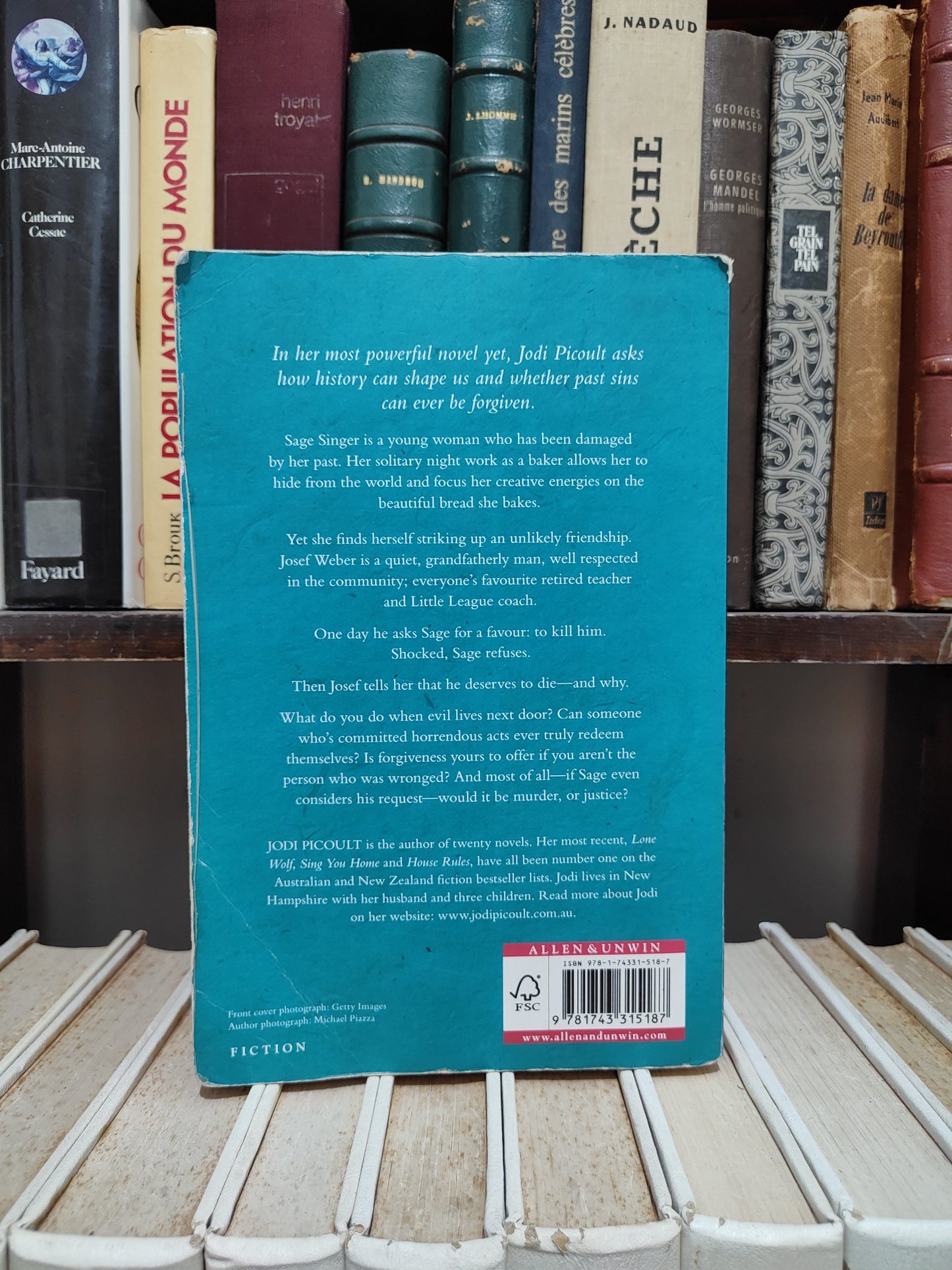 Picoult - The Storyteller