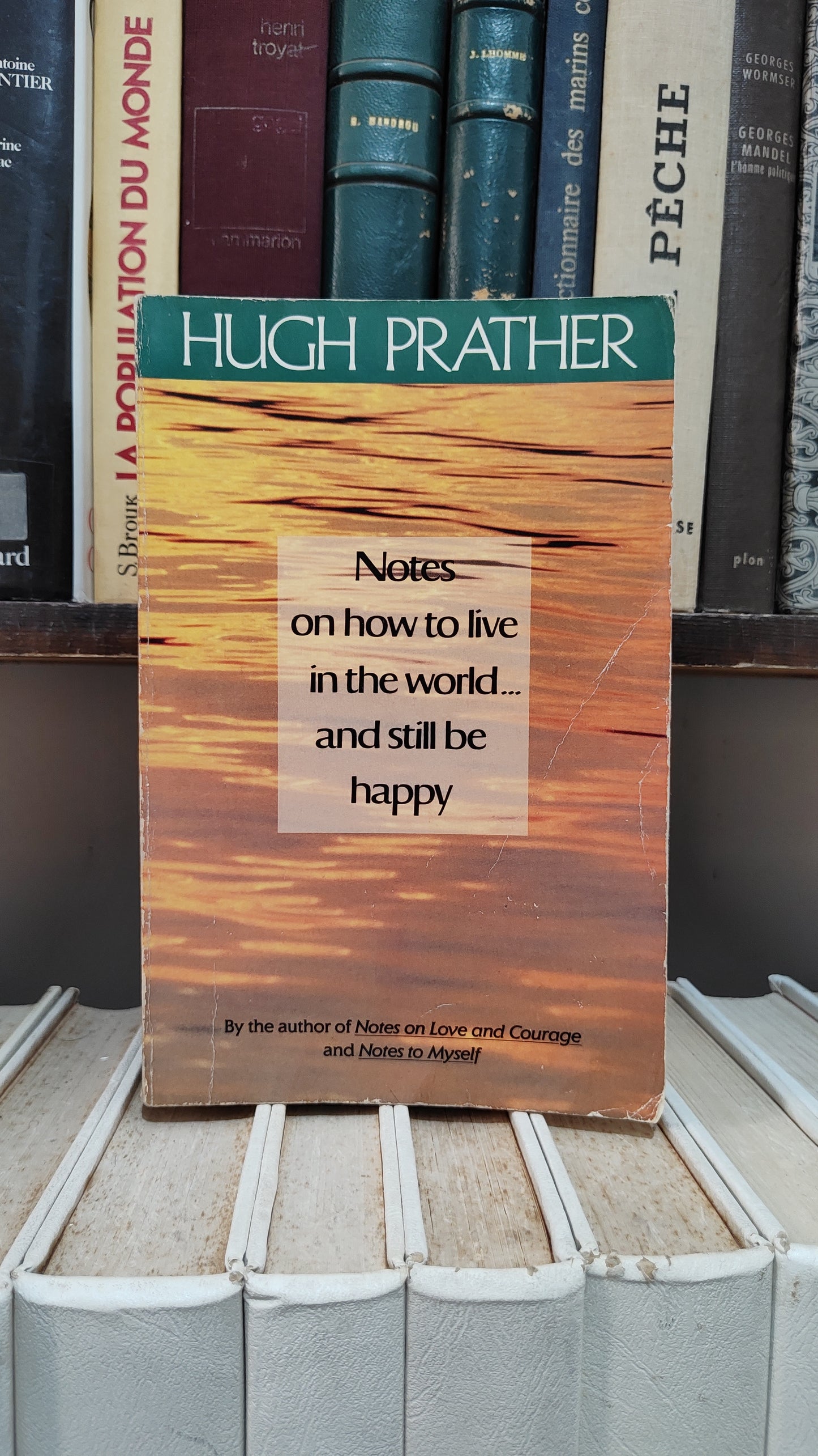 Prather - Notes on how to live in the world and still be happy