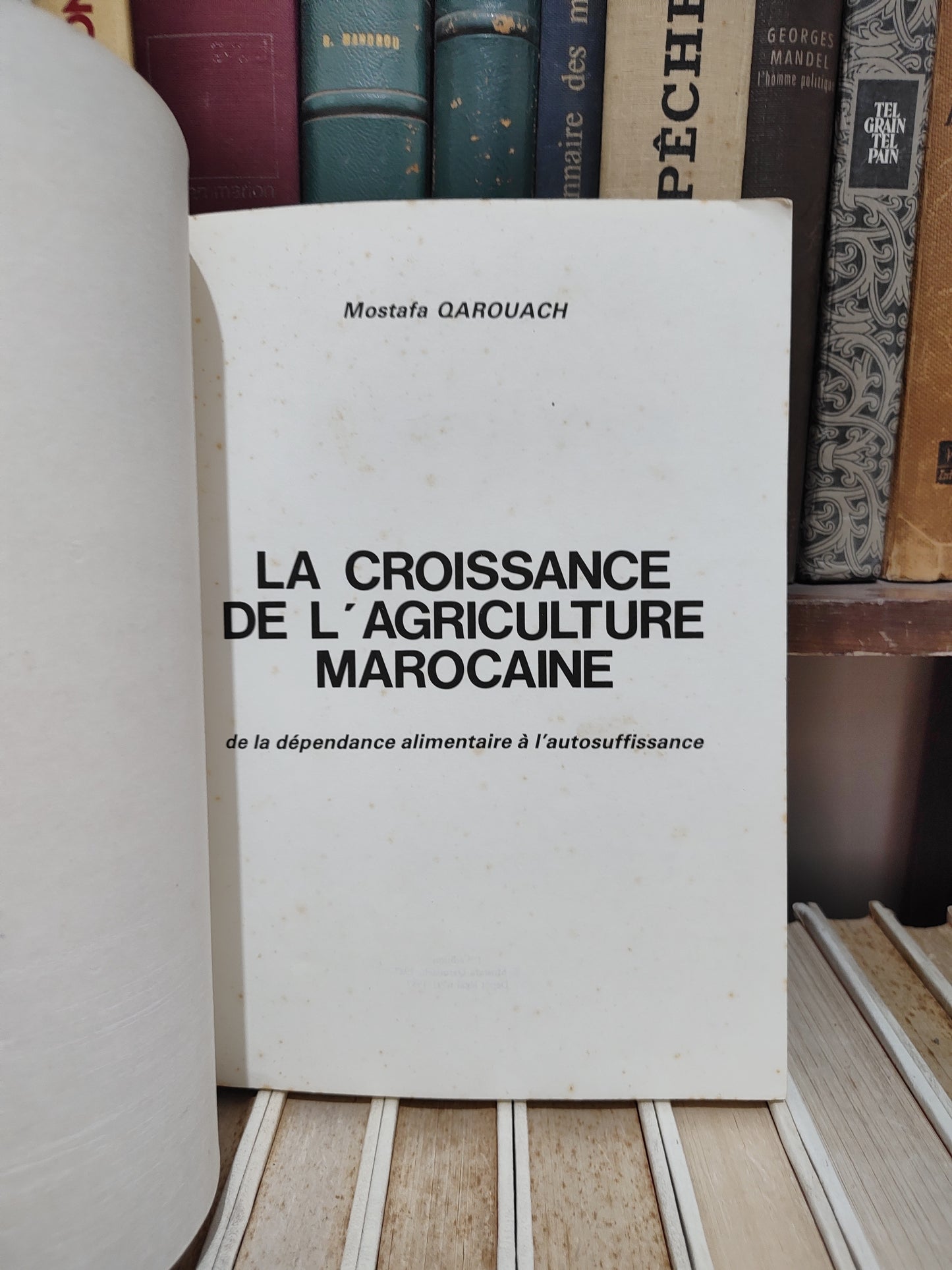 Qarouach - La croissance de l'agriculture marocaine