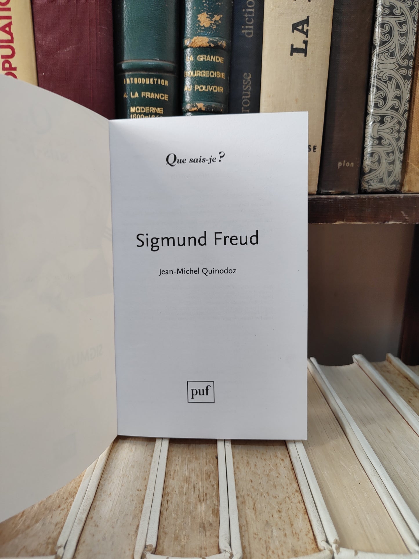 Quinodoz - Sigmund Freud