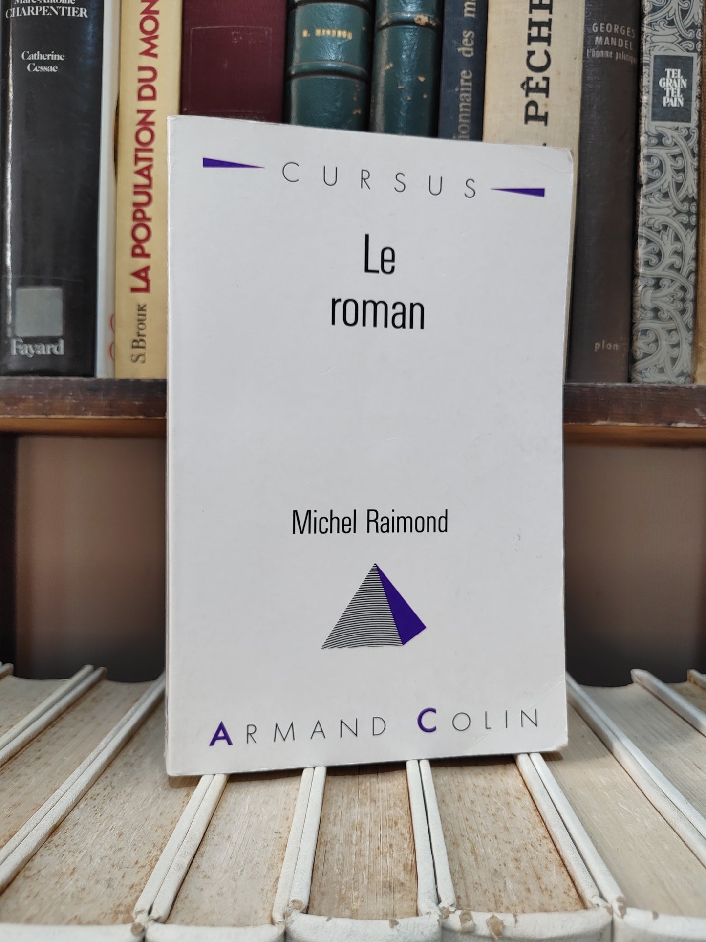 Raimond - Le roman