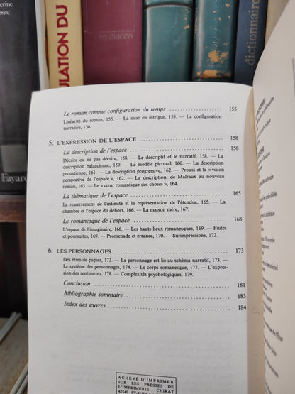 Raimond - Le roman