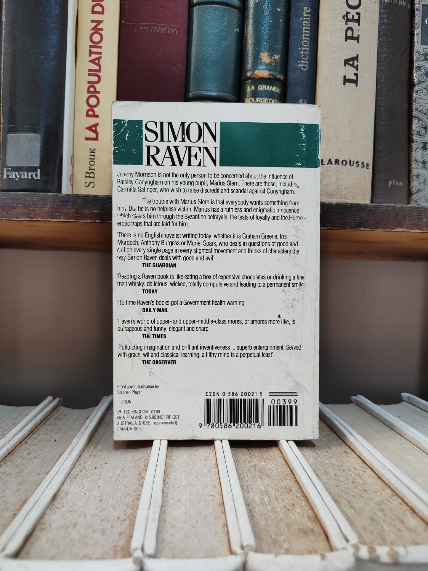 Raven - In the image of God