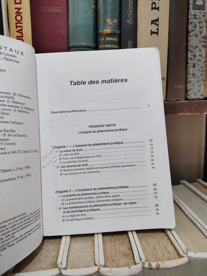 Ricci - Introduction à l'étude du droit