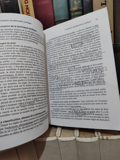 Ricci - Introduction à l'étude du droit