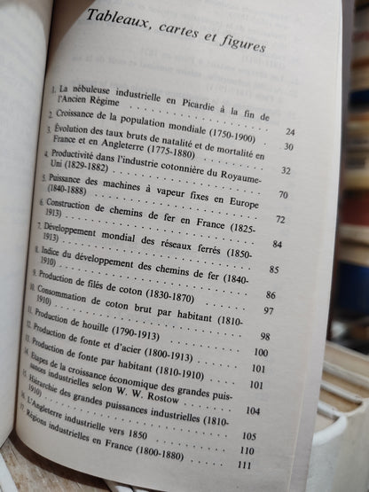 Rioux - La révolution industrielle 1780 - 1880