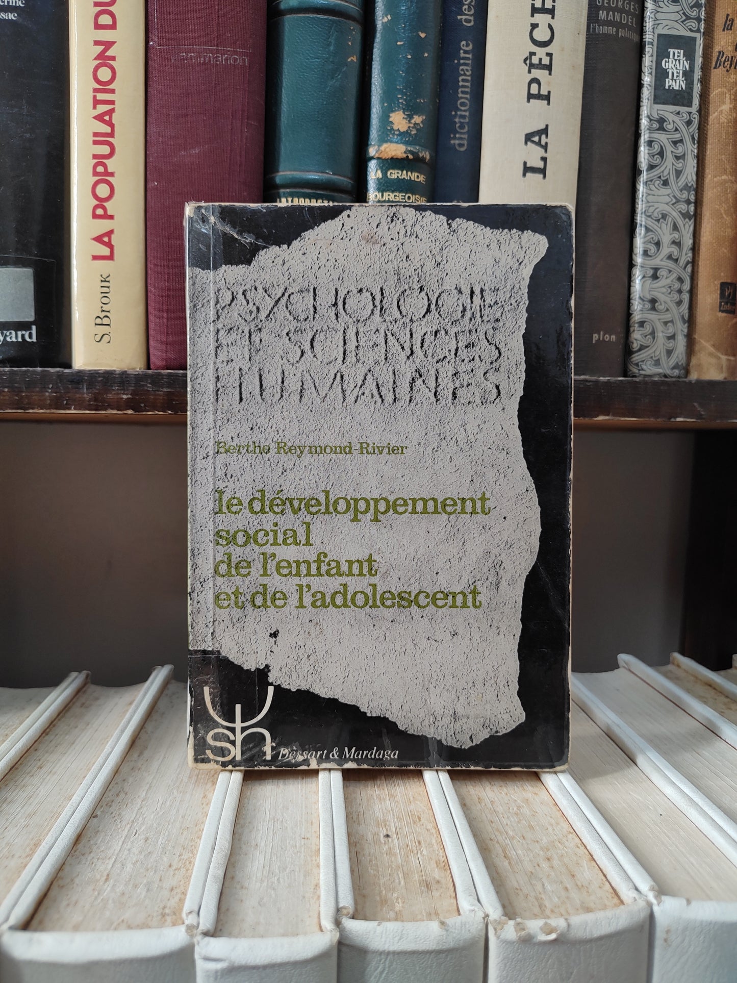 Rivier - Le développement social de l'enfant et de l'adolescent