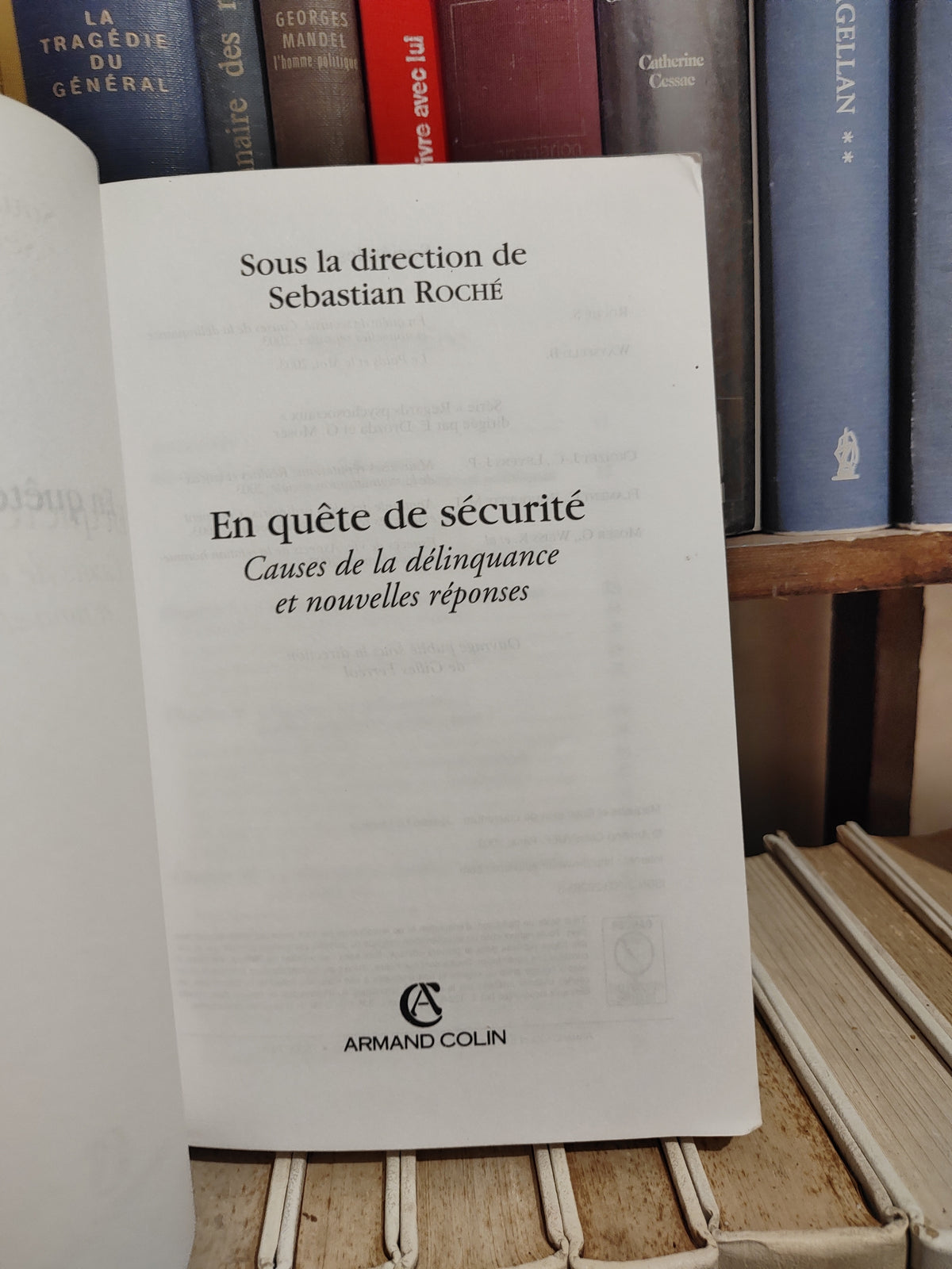 Roché - En quête de sécurité : Causes de la délinquance et nouvelles réponses