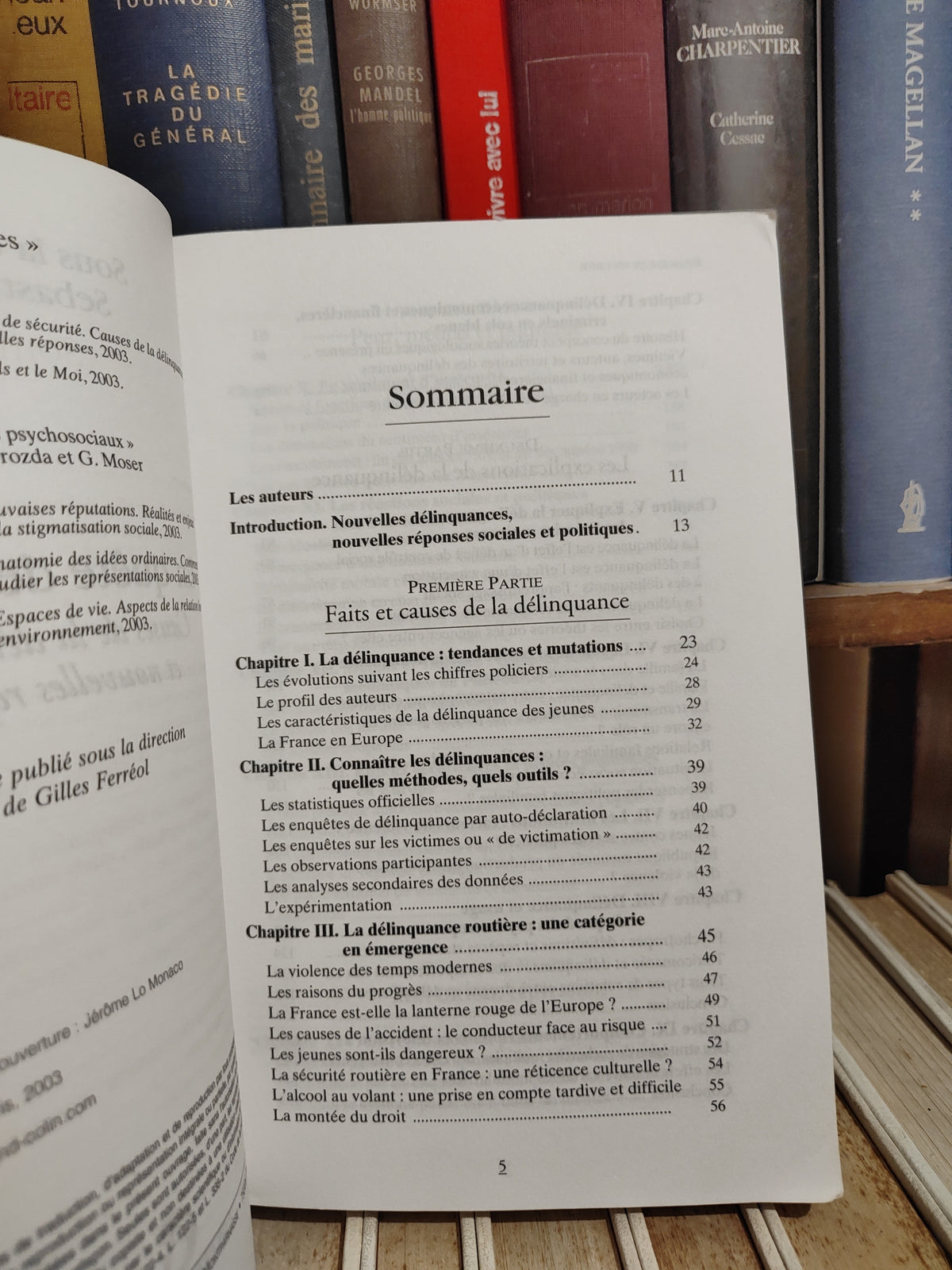 Roché - En quête de sécurité : Causes de la délinquance et nouvelles réponses