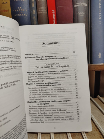 Roché - En quête de sécurité : Causes de la délinquance et nouvelles réponses