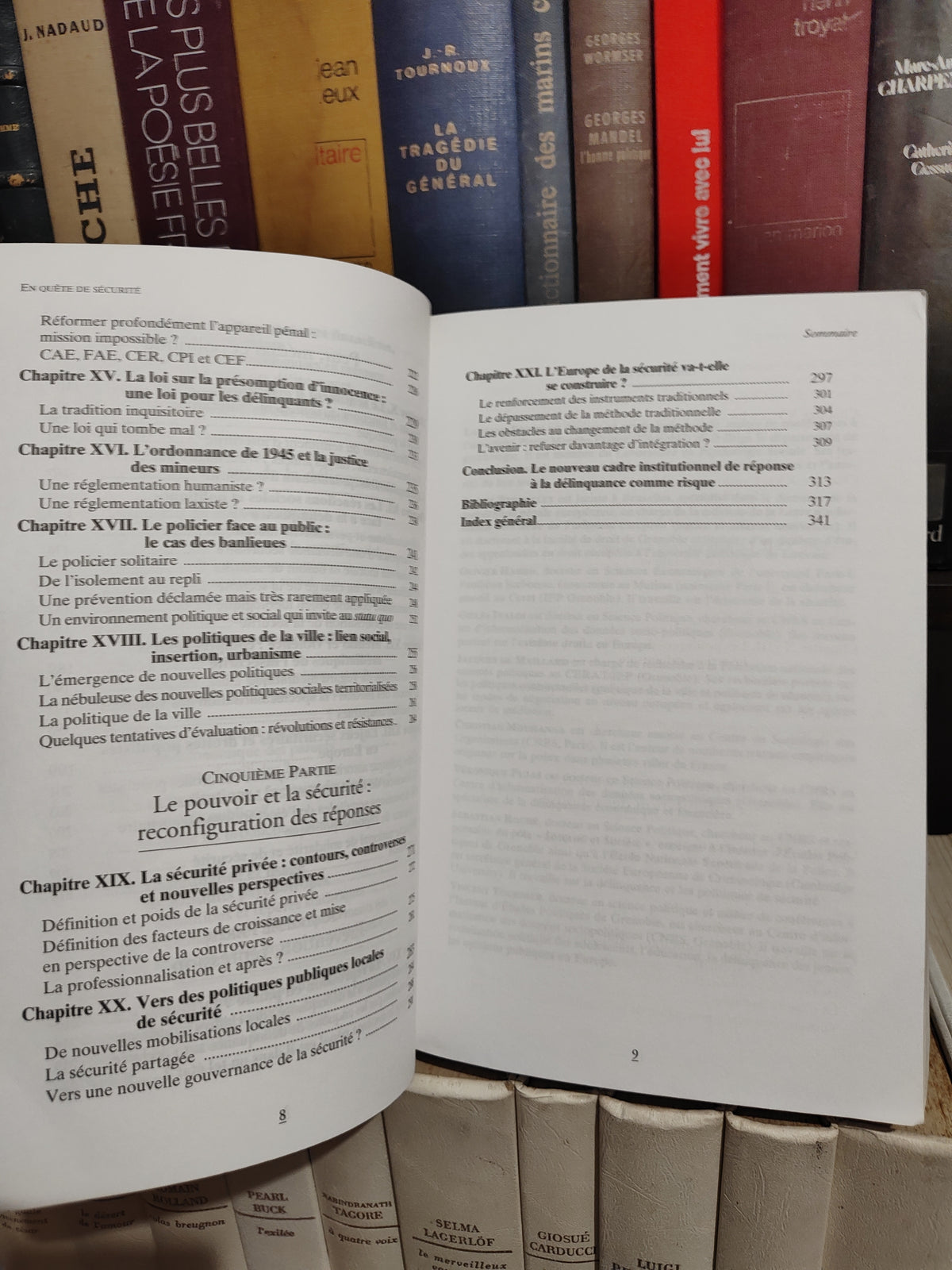 Roché - En quête de sécurité : Causes de la délinquance et nouvelles réponses