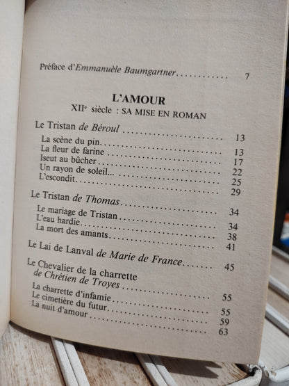 Romanciers du Moyen Age