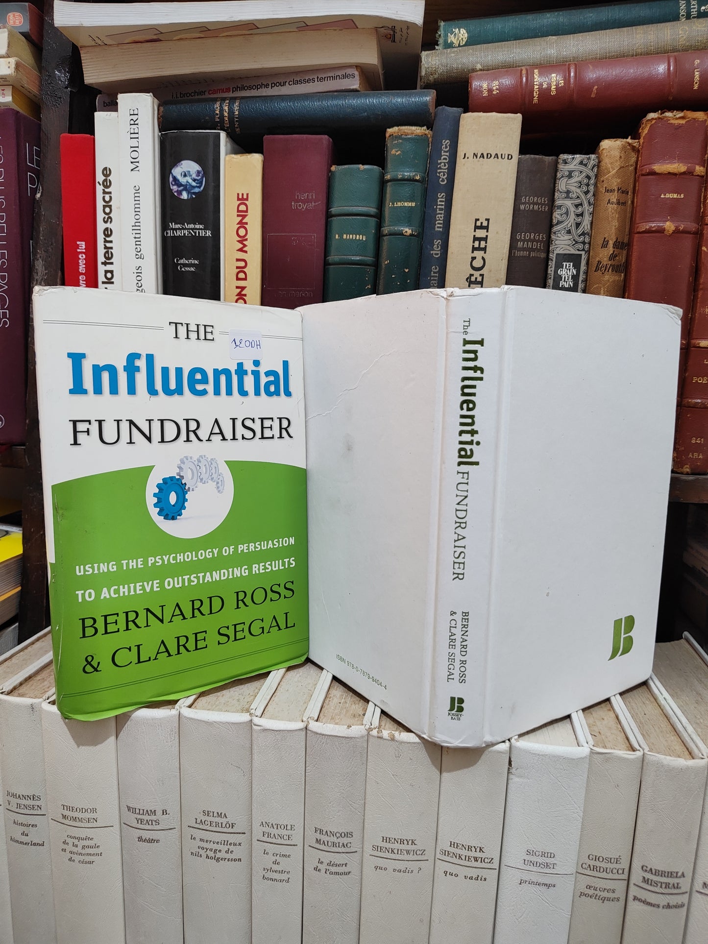 Ross - The influentoal fundraiser