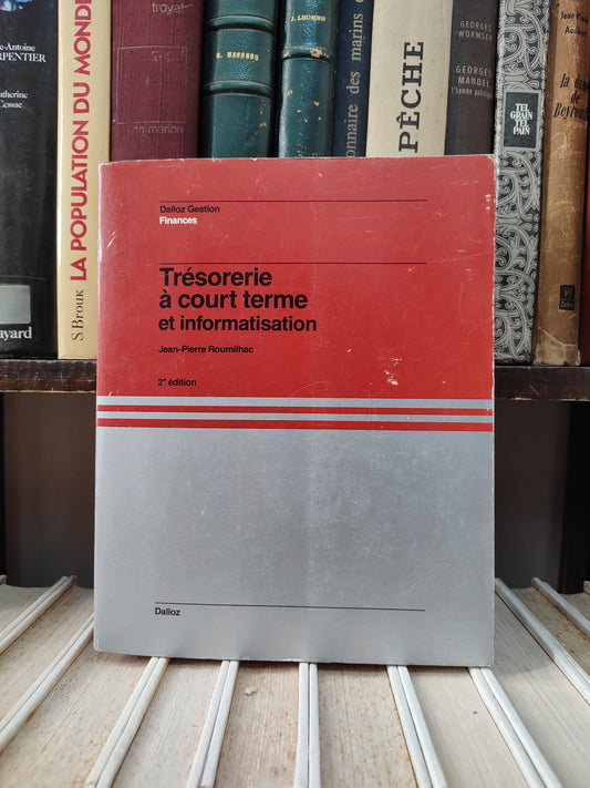 Roumilhac - Trésorerie à court terme et informatisation