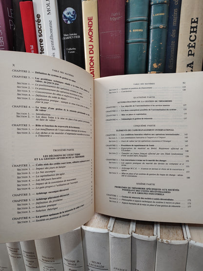 Roumilhac - Trésorerie à court terme et informatisation