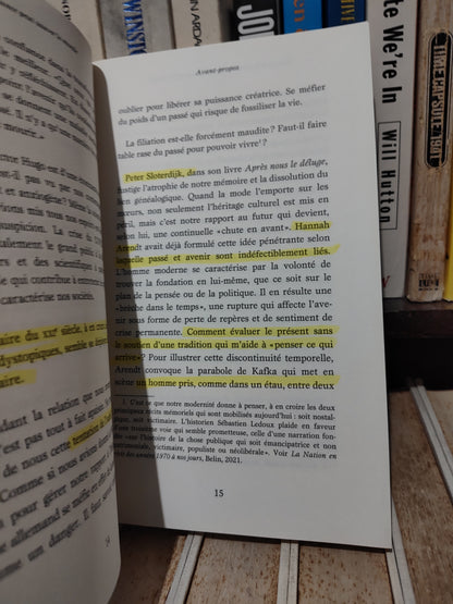 Safa - Pourquoi la renaissance peut sauver le monde : L'imagination comme chemin