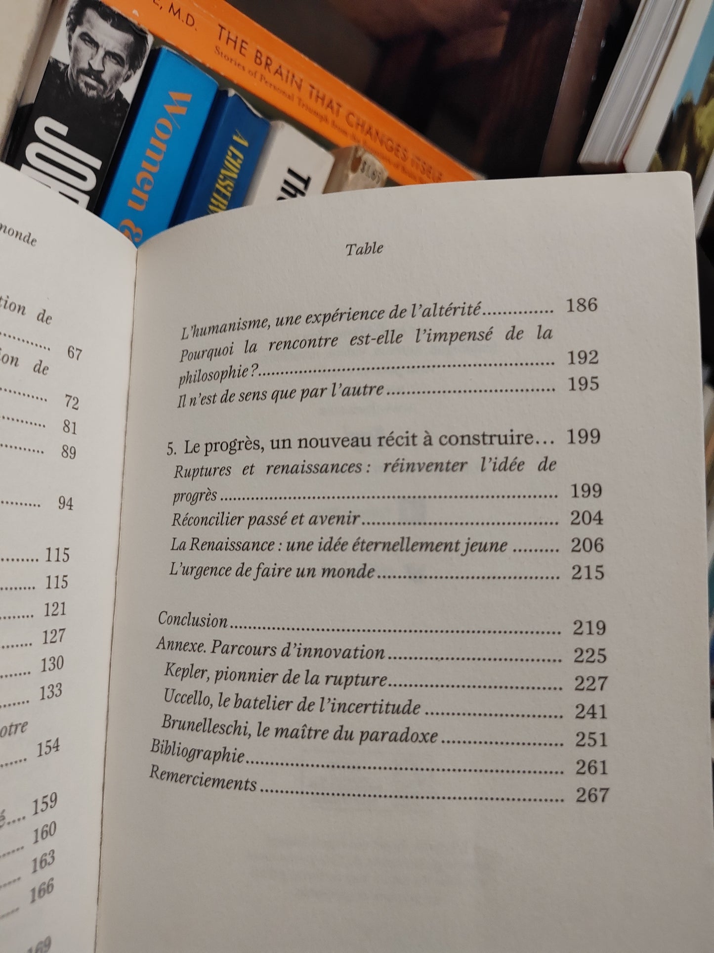 Safa - Pourquoi la renaissance peut sauver le monde : L'imagination comme chemin