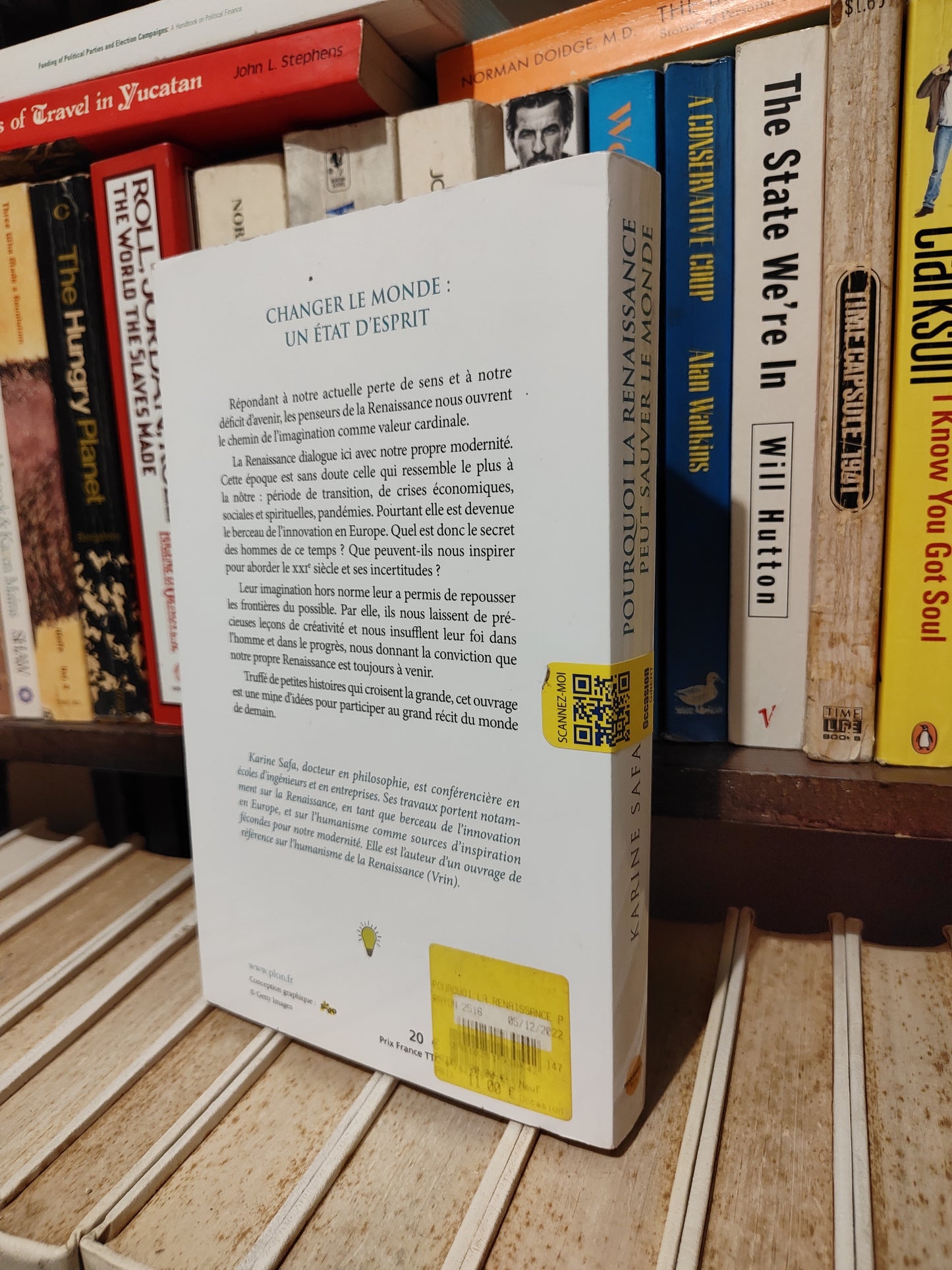 Safa - Pourquoi la renaissance peut sauver le monde : L'imagination comme chemin
