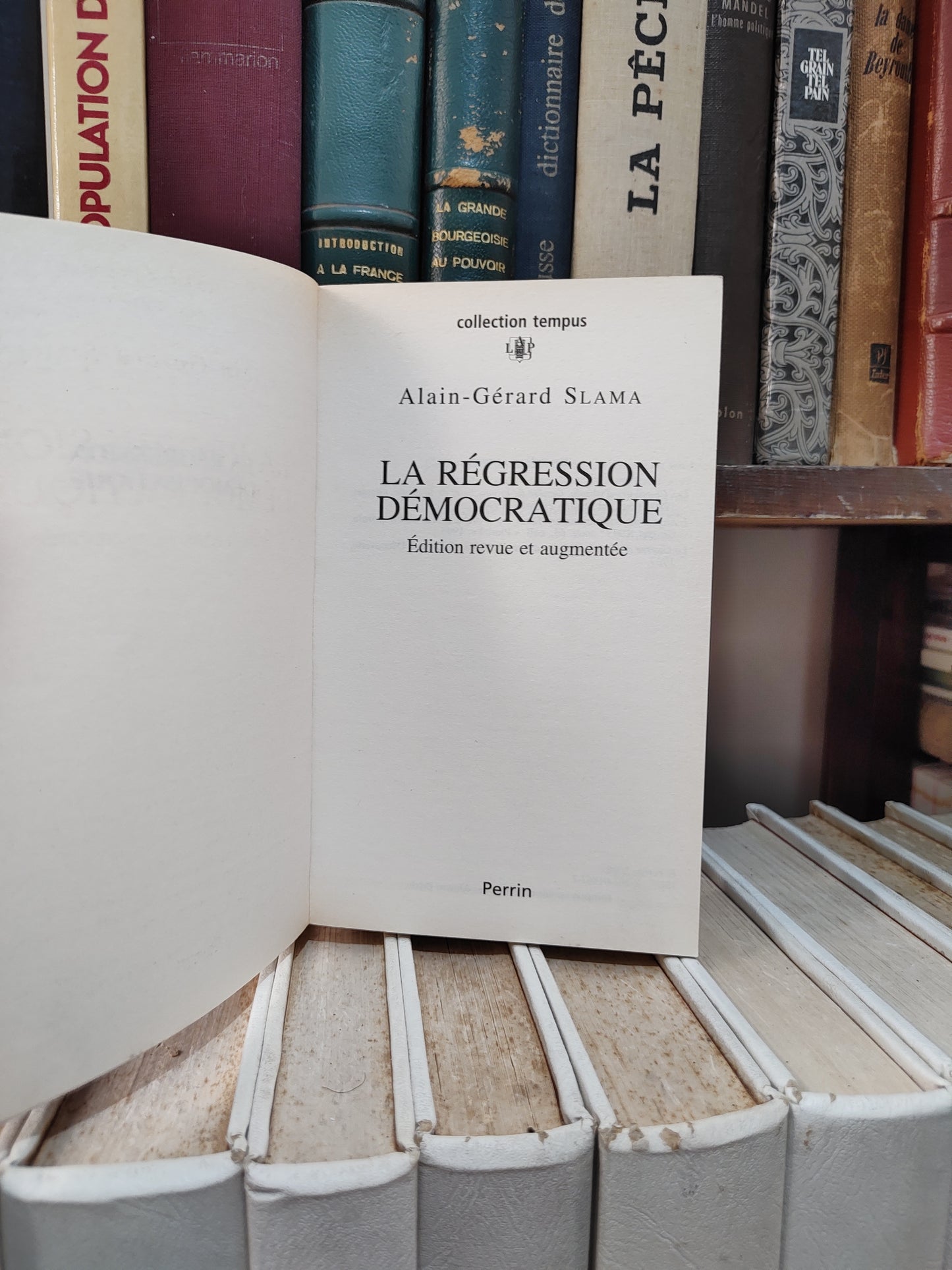 Salma - La régression démocratique