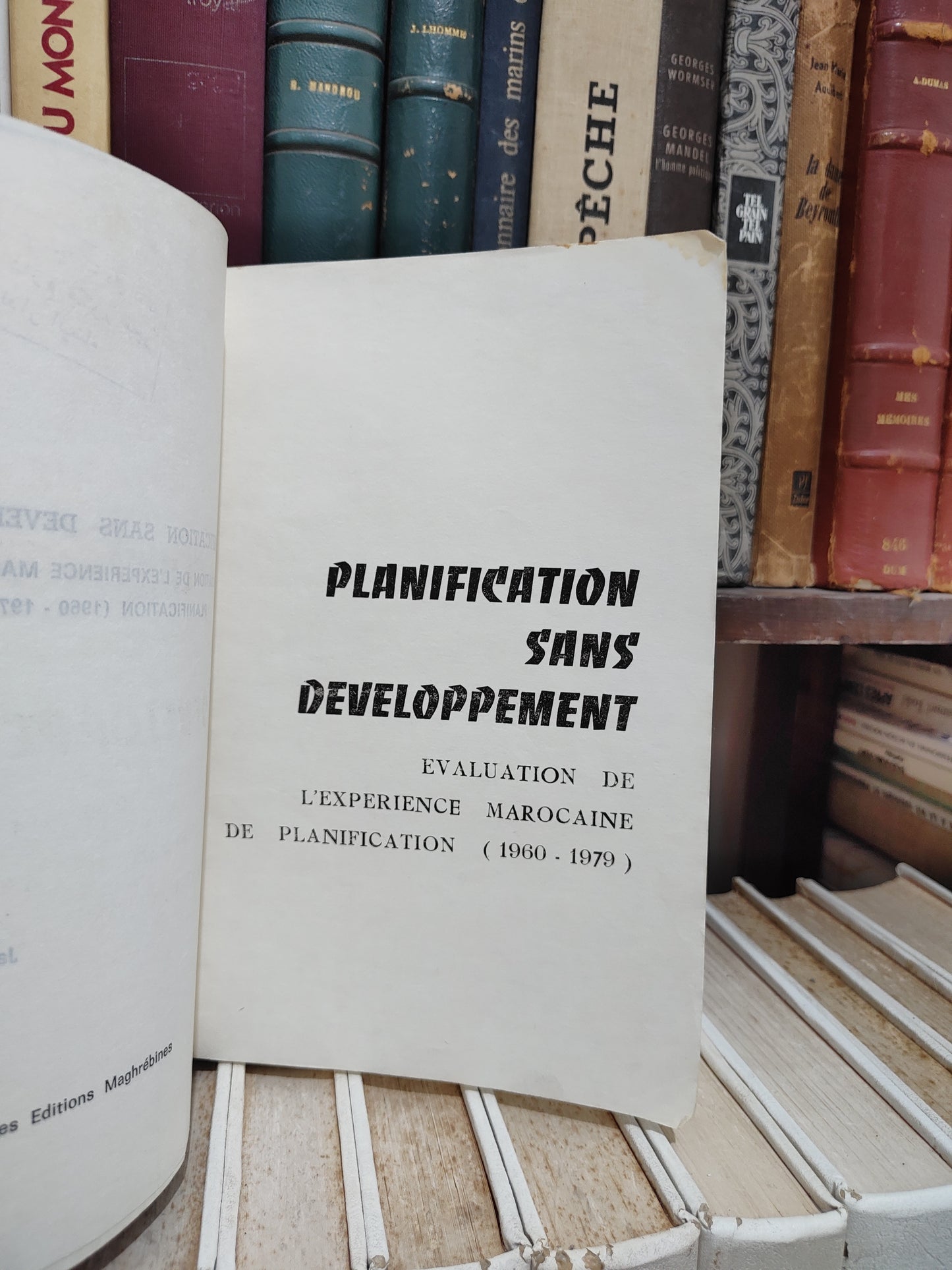 Salmi - Planification sans développement