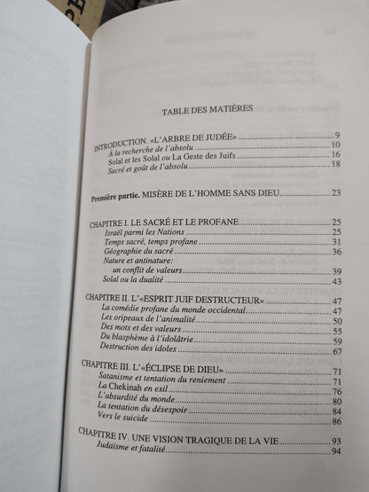 Schanffner - Le Gout de l'absolu ; l'enjeu sacré de la littérature dans l'œuvre d'Albert Cohen