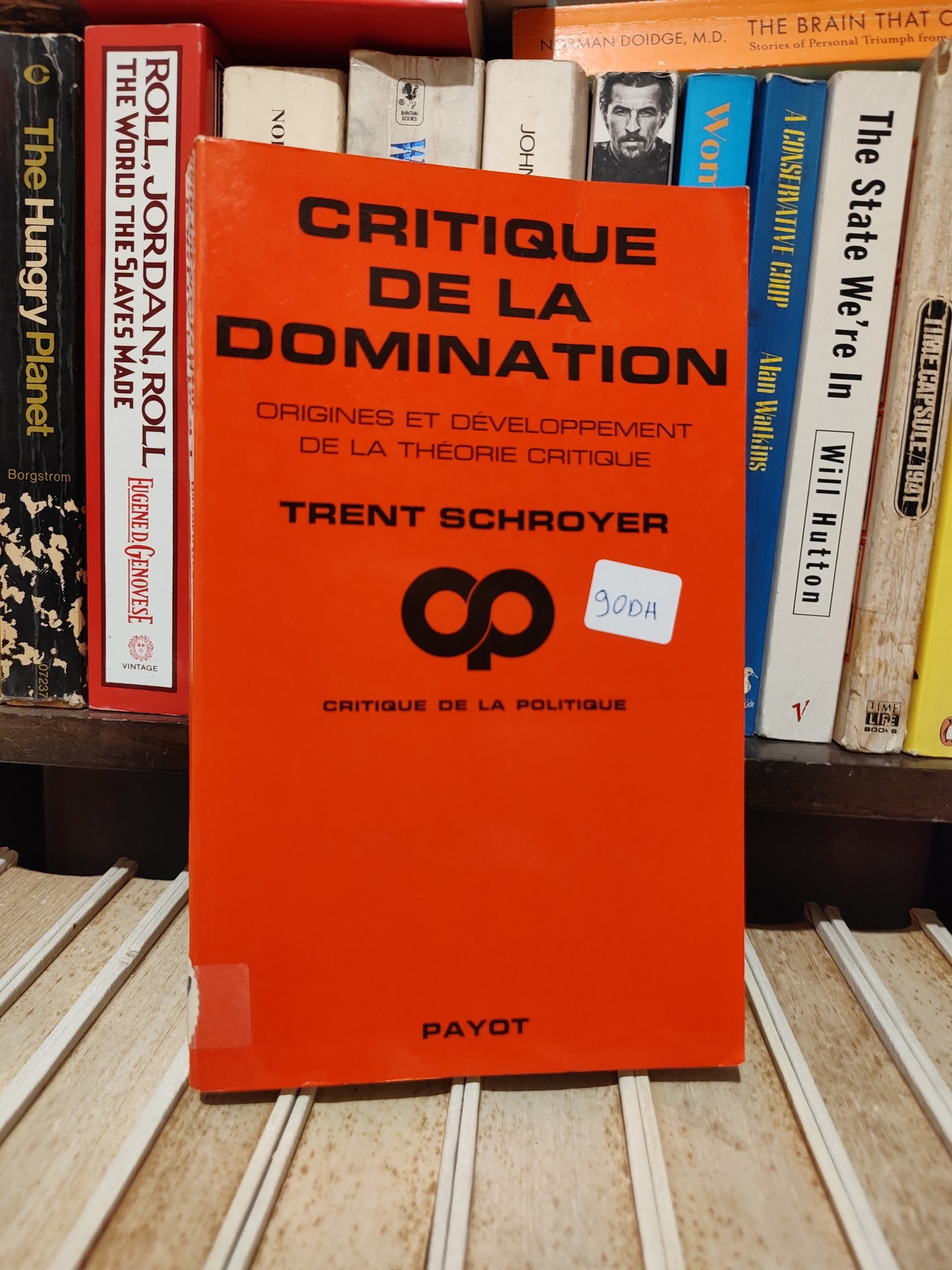 Schroyer - Critique de la domination
