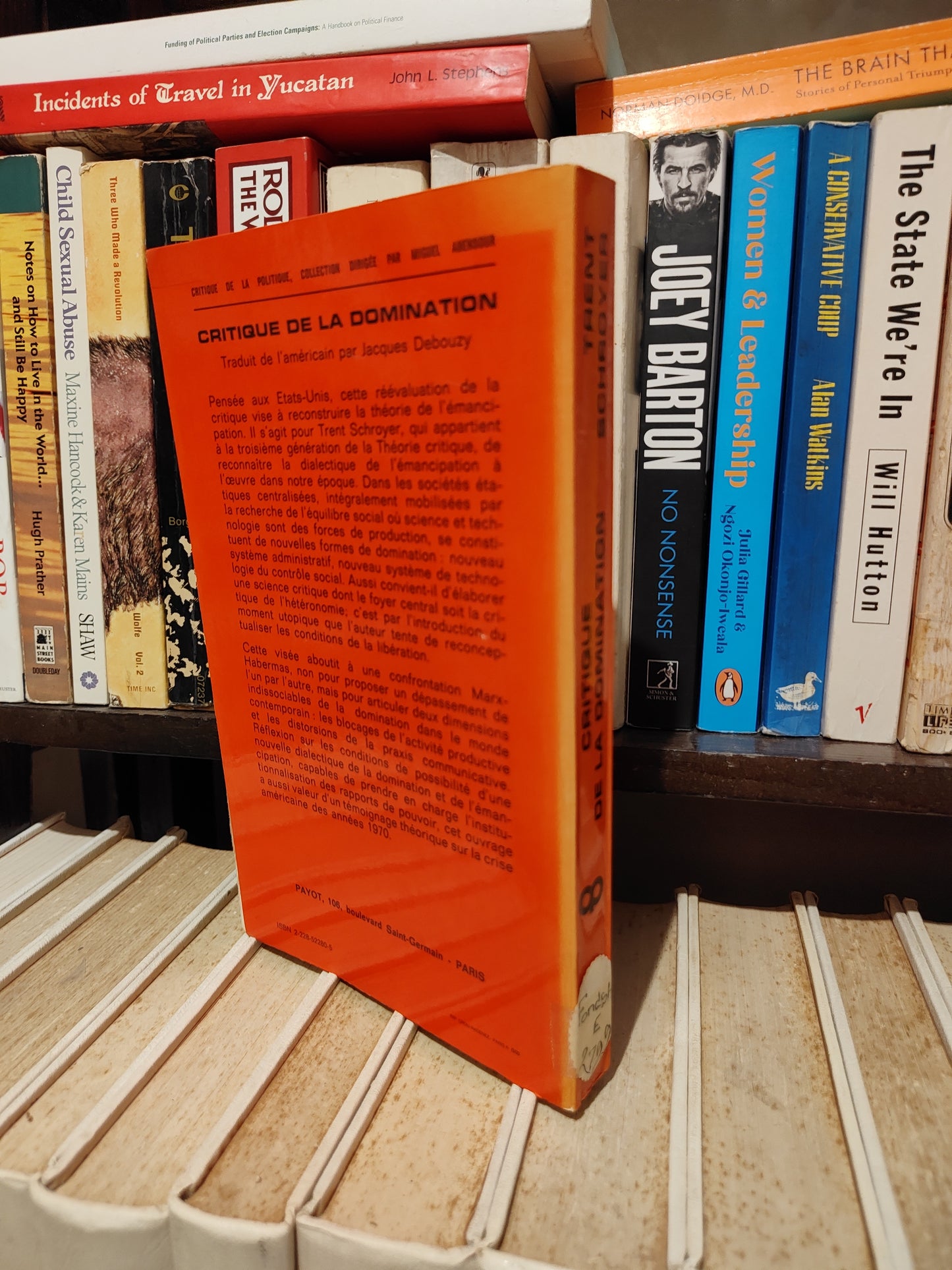 Schroyer - Critique de la domination