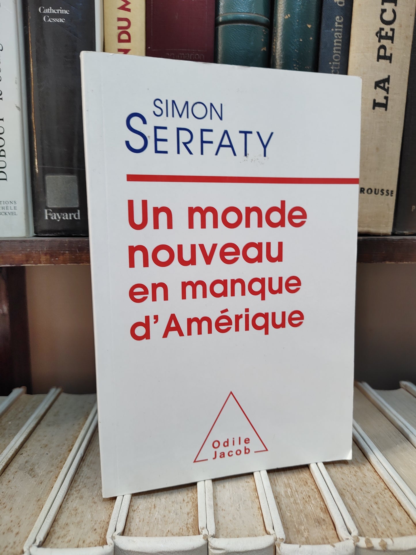 Serfaty - Un monde nouveau en manque d'Amérique